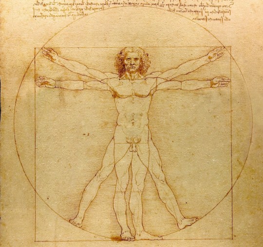 Da_Vinci_Vitruve_Luc_Viatour