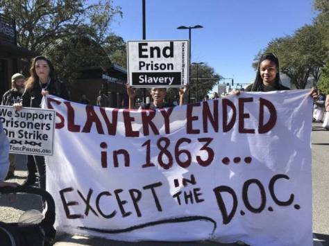 gainesvillemlkbanner